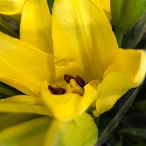 Meet your Posher, Eileen